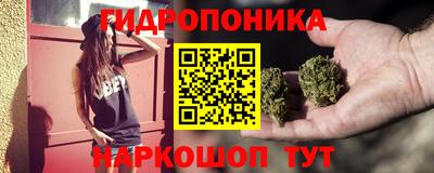 сатива Славгород