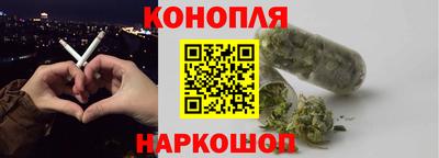 сатива Славгород