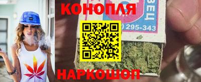 сатива Славгород