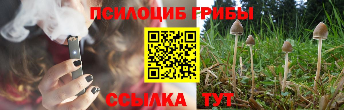 Псилоцибиновые грибы прущие грибы Новошахтинск