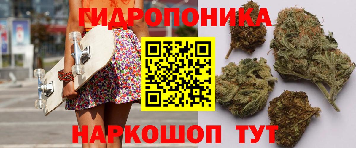 Канабис OG Kush Новошахтинск